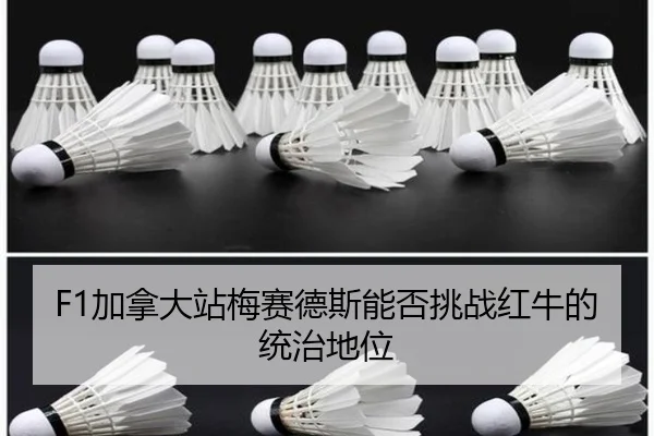 F1加拿大站梅赛德斯能否挑战红牛的统治地位